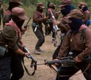 Zapatista Army