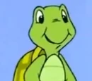 La Tortuga Shelby
