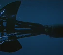 Giant Squid