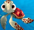 Squirt