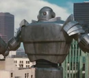 The Robot