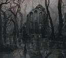 Korcari Wilds