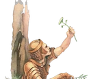 Scout (Oblivion)