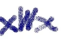 XWx