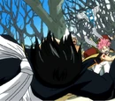 Natsu Dragneel vs. Zeref
