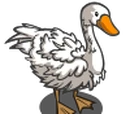 Sebastapol Goose