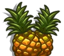 Australian Pineapple