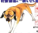 Kenshin