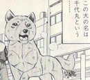 Chiyomaru