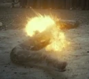 Maléfice Explosif