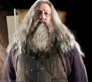 Abelforth Dumbledore