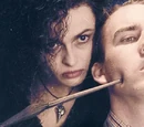 Bellatrix Lestrange's first wand