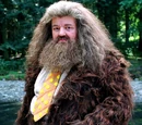 Rubeus Hagrid's dress robes