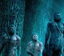 Forbidden Forest Centaur colony