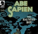 The Haunted Boy