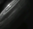 Great Network of Hyperspace Gates