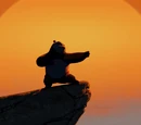Kung Fu