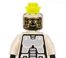 Ann Droid