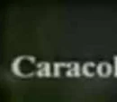 Andina de Televisión