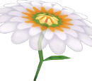 Flower Glider