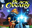 Black Canary's Motorcycle