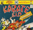Karate Kid Vol 1 4