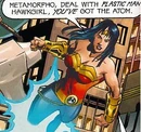 Wonder Woman Secret Society of Super-Heroes.jpg