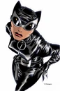 Catwoman 0011.jpg