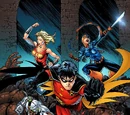 Teen Titans: The New Teen Titans