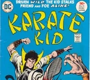Karate Kid Vol 1 6