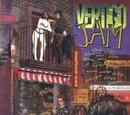 Vertigo Jam Vol 1 1