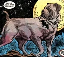 Ace the Bat-Hound (New Earth)