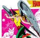 Hawkwoman 01.jpg
