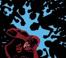 Daredevil Vol 3 29