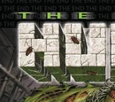 Incredible Hulk: The End Vol 1 1