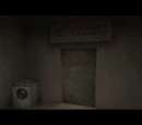 Luigi's Laundry