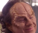 Phlox