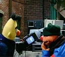 Are Bert and Ernie named after characters from It's a Wonderful Life?