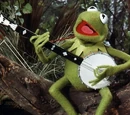 Kermit's Swamp