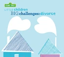 Little Children, Big Challenges: Divorce