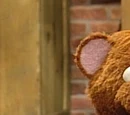 Baby Bear
