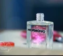 Love Potion