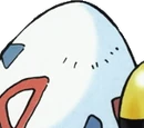 Pokémon Egg