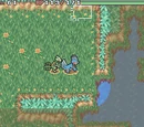 Hidden Land