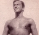 Enrique Llanes