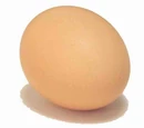 Chicken egg