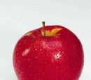 Apfel