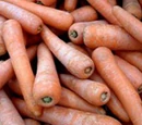 Irish Carrots and Parsnips