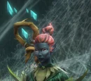 The Widow
