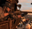 Rifles